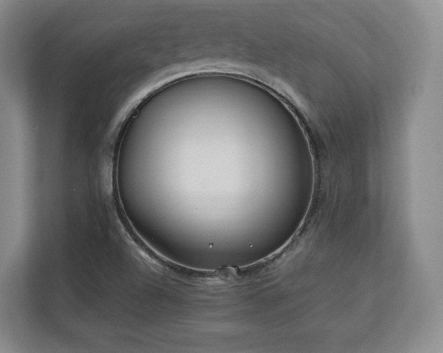 X0000112791504200908211103