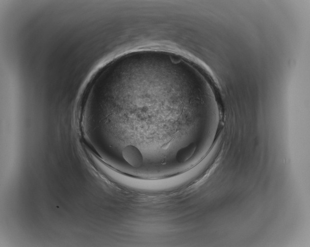 X0000112791506200908211103