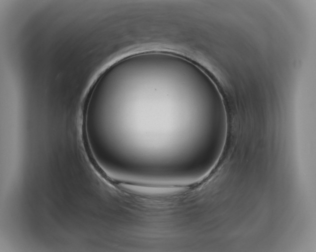 X0000112791508200908211103
