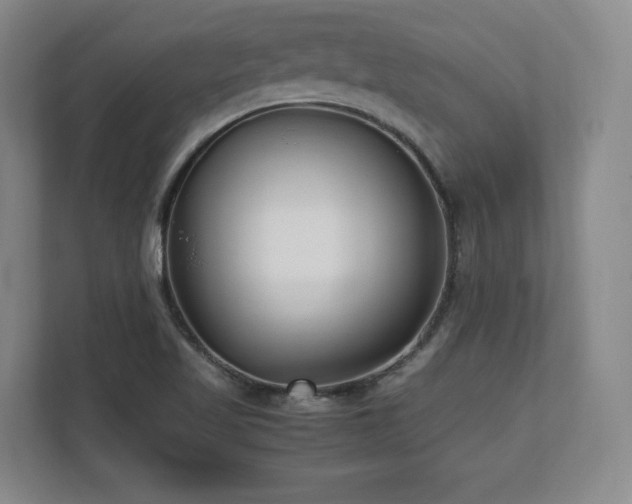 X0000112791509200908211103