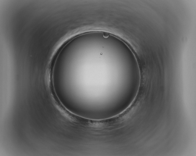 X0000112791511200908211103