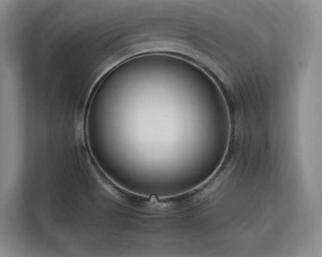 X0000112791513200908211103