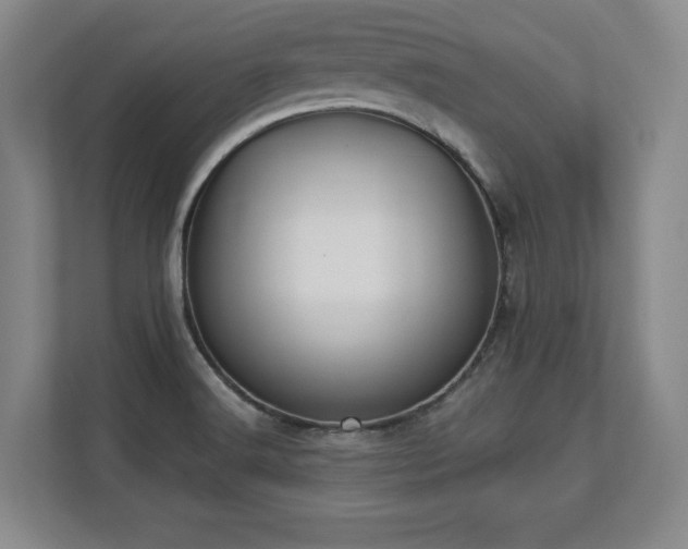X0000112791516200908211103