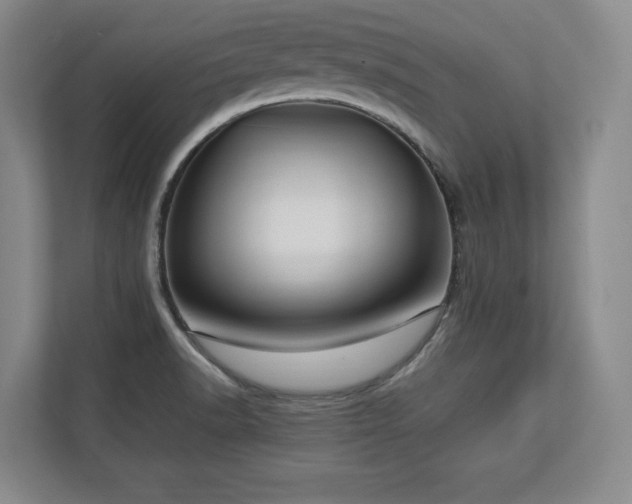 X0000112791518200908211103