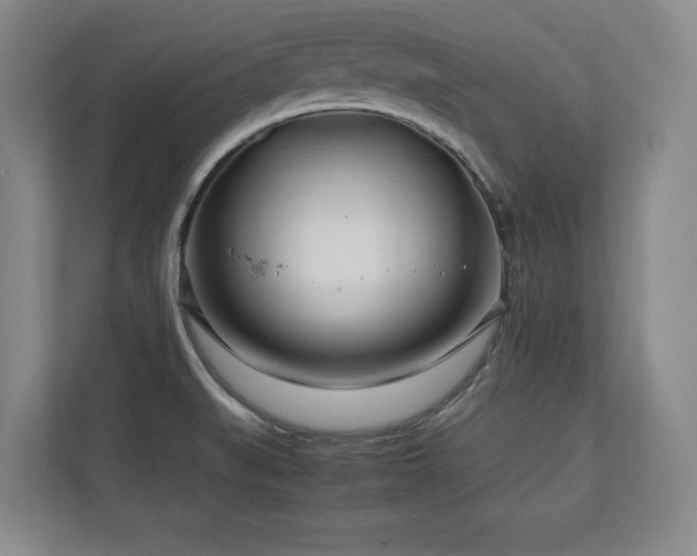 X0000112791519200908211103
