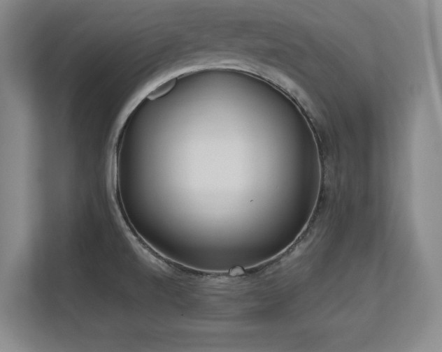 X0000112791520200908211103