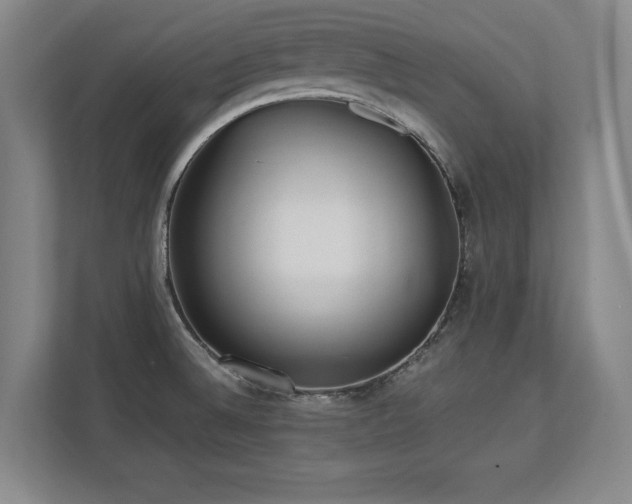 X0000112791524200908211103