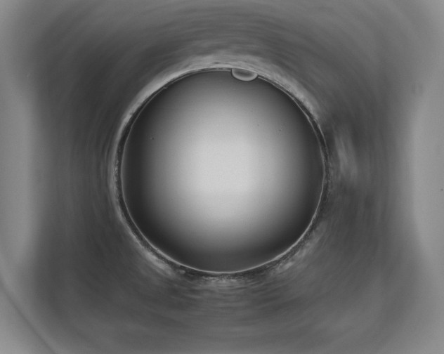 X0000112791525200908211103