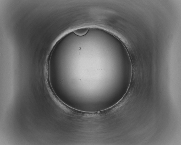 X0000112791526200908211103
