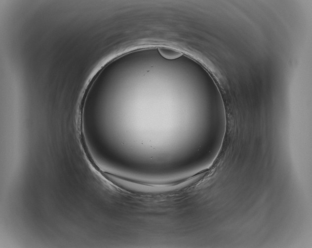 X0000112791527200908211103