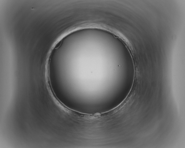 X0000112791528200908211103