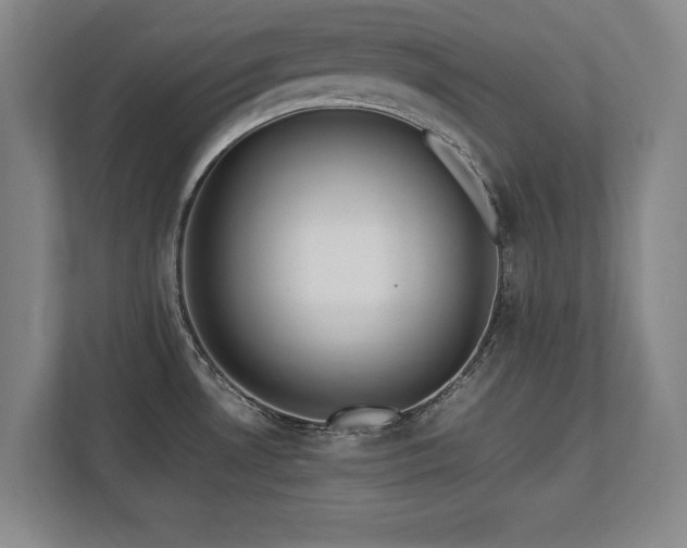X0000112791530200908211103