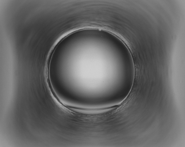 X0000112791531200908211103