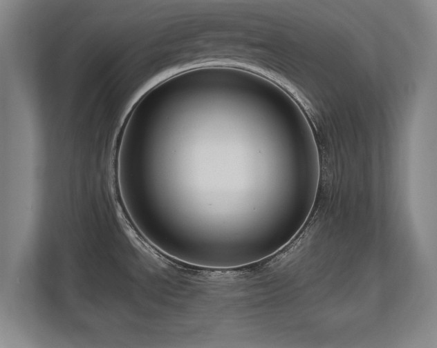 X0000112791534200908211103