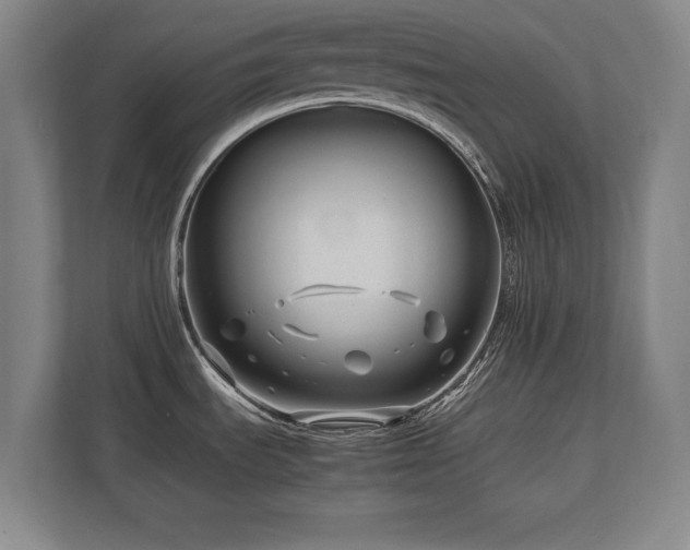 X0000112791535200908211103