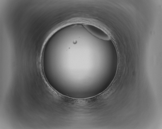 X0000112791536200908211103