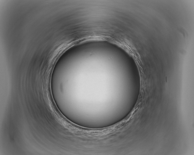 X0000112790001200908281517