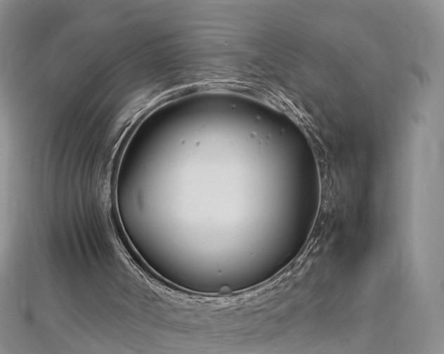 X0000112790002200908281517