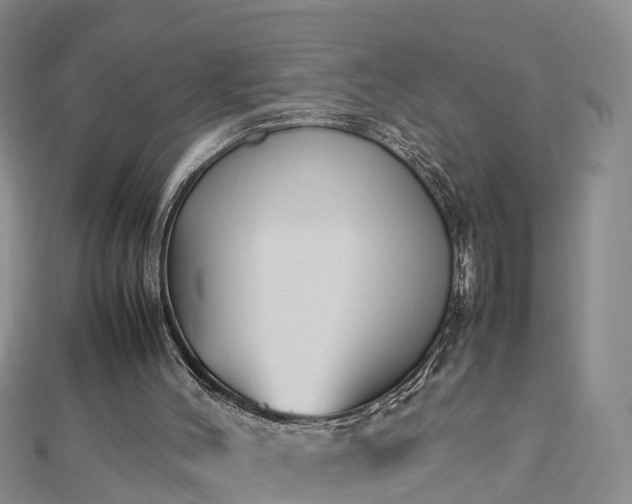 X0000112790004200908281517