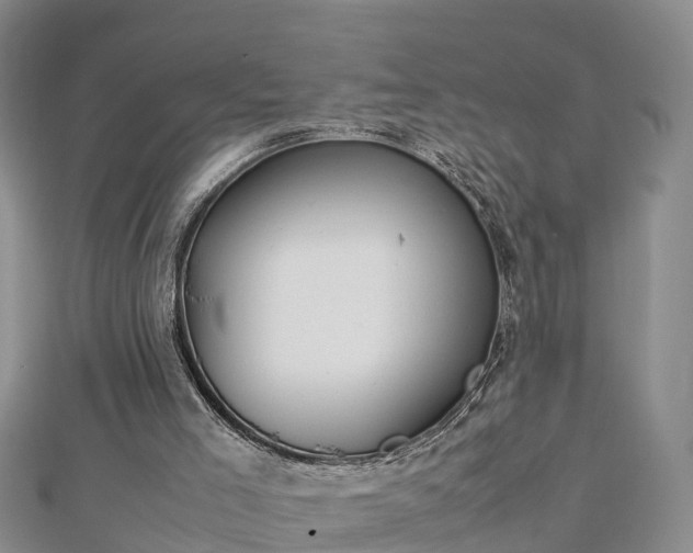 X0000112790005200908281517