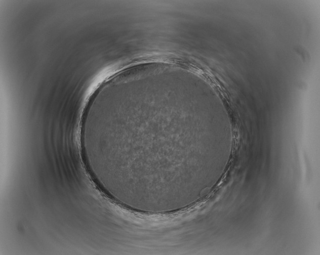 X0000112790006200908281517