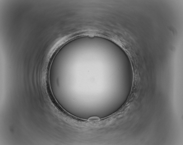 X0000112790007200908281517