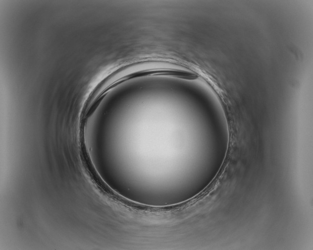 X0000112790008200908281517