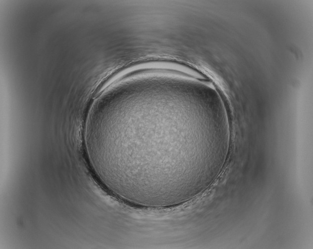 X0000112790009200908281517