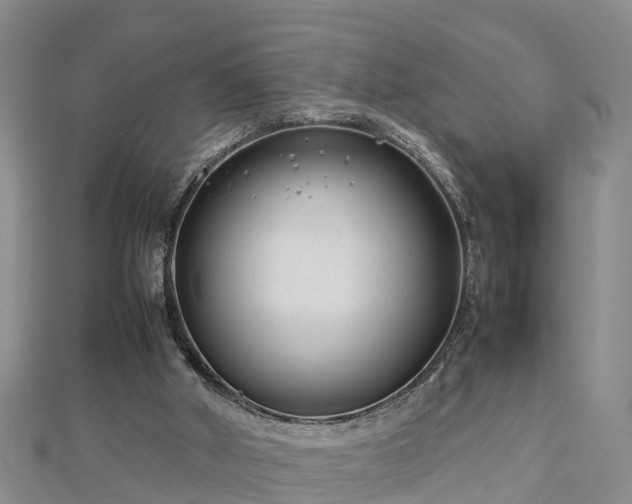 X0000112790010200908281517