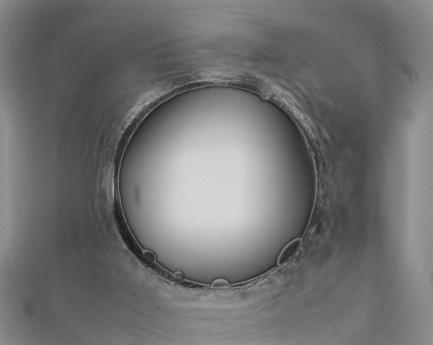 X0000112790011200908281517