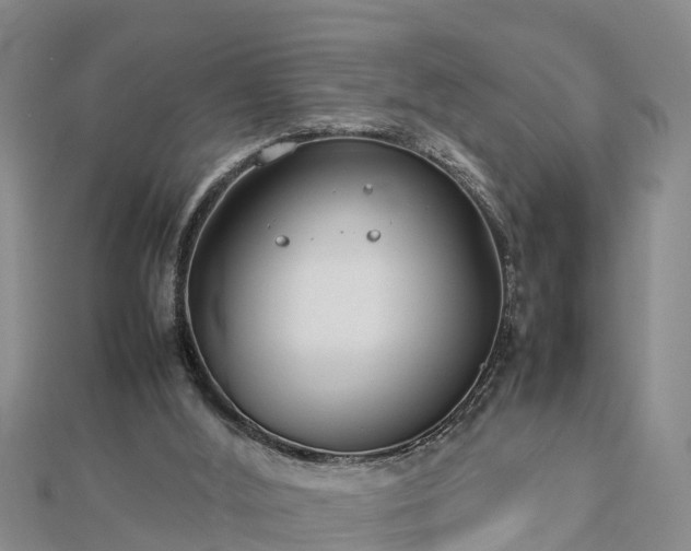 X0000112790012200908281517