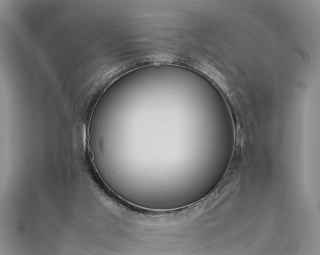 X0000112790013200908281517