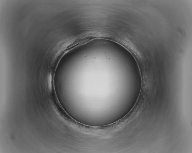 X0000112790014200908281516