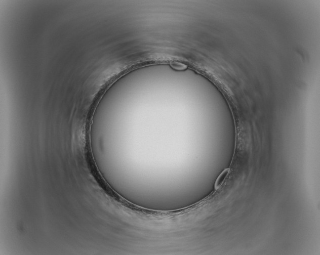 X0000112790015200908281516