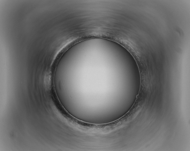 X0000112790016200908281516