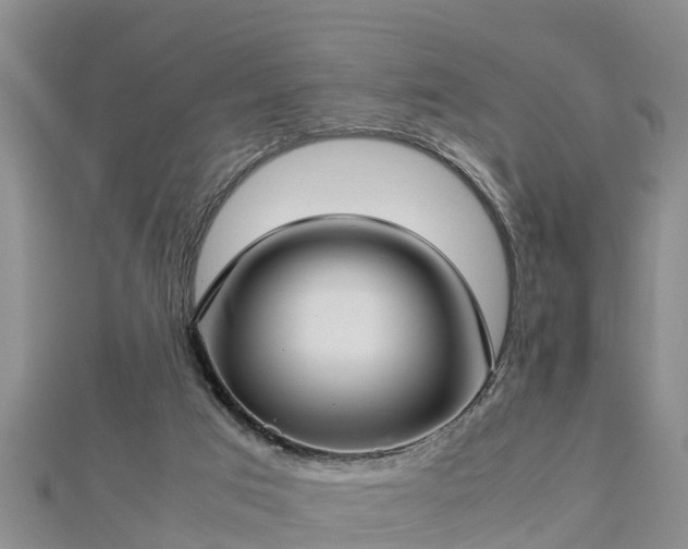 X0000112790017200908281516