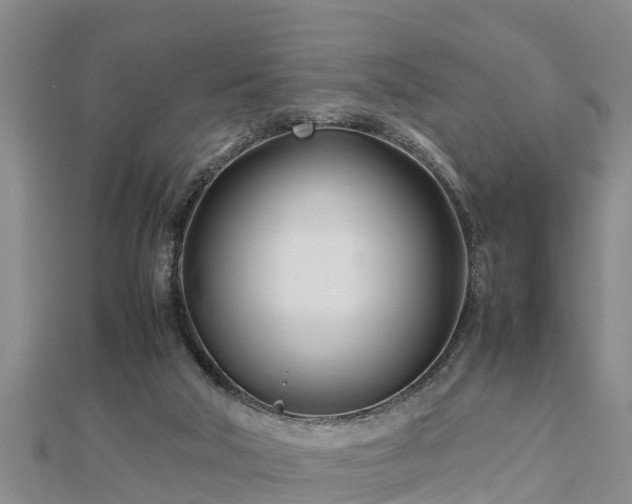 X0000112790018200908281516