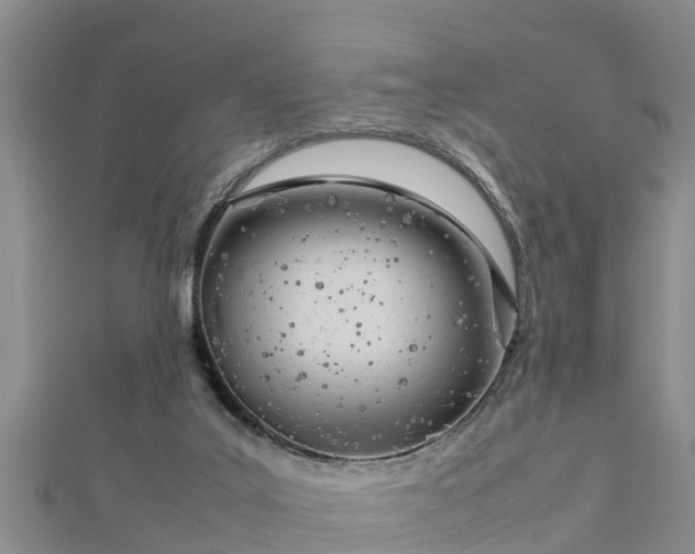 X0000112790019200908281516