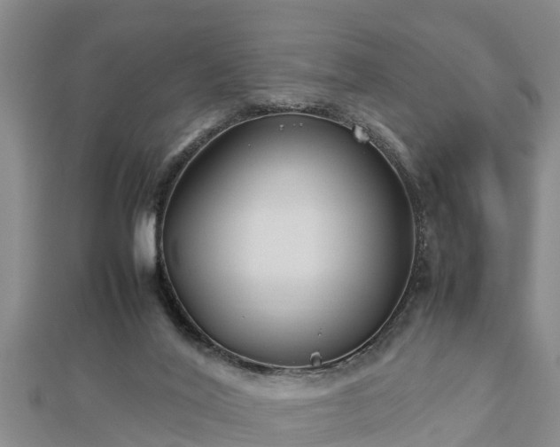 X0000112790020200908281516