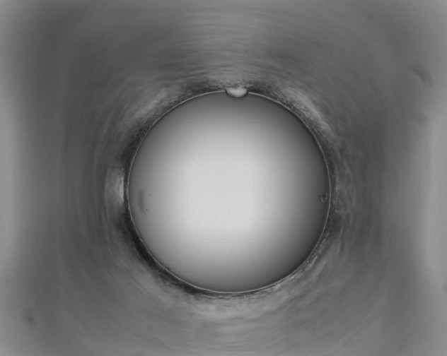 X0000112790021200908281516