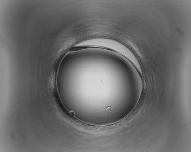 X0000112790023200908281516