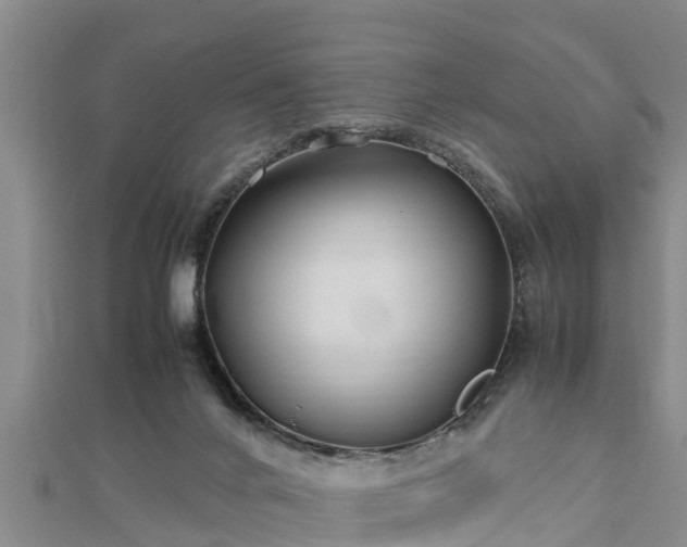 X0000112790024200908281516