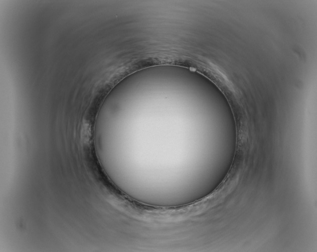 X0000112790025200908281516