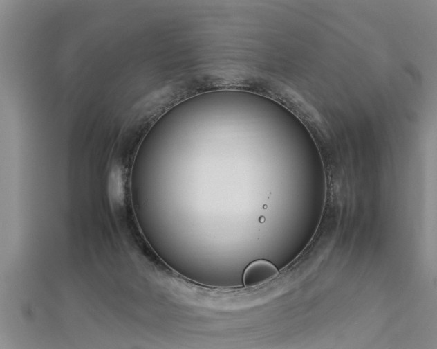 X0000112790026200908281516