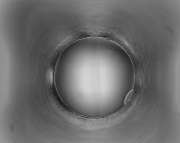 X0000112790027200908281516