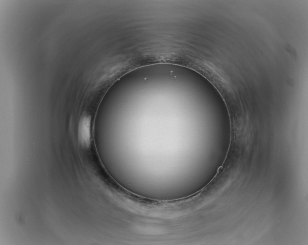 X0000112790028200908281516