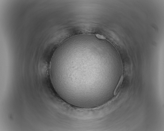 X0000112790029200908281516