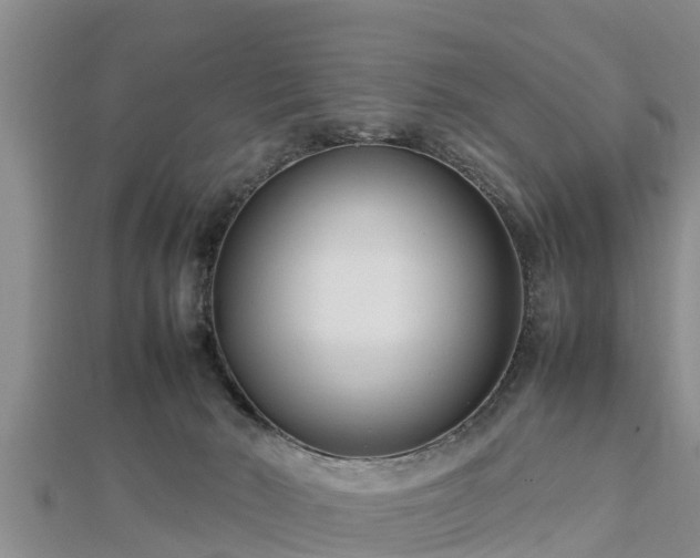 X0000112790030200908281516