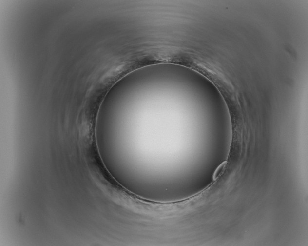 X0000112790031200908281516