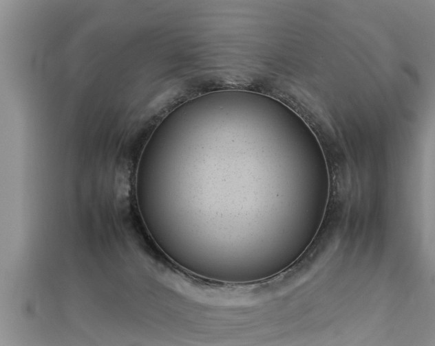 X0000112790032200908281516